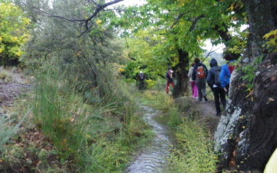 Actividad desde Almería