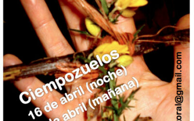 Pascua Familia Oblata