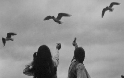 Noticia desde Caomio – Lisboa