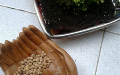 Celebración Stmo. Redentor en Palma