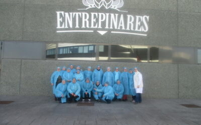 Albor al día. Valladolid