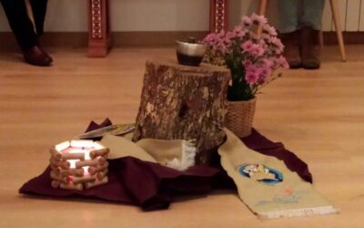 Finalizamos el año de la Misericordia