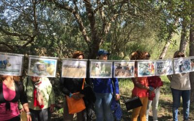 Celebración 8 marzo en Palma