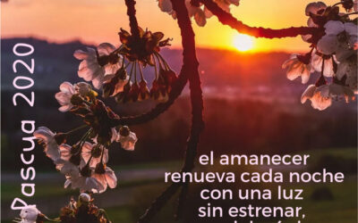 Felicitación Pascual de Carmen Ortega, Superiora Provincial.