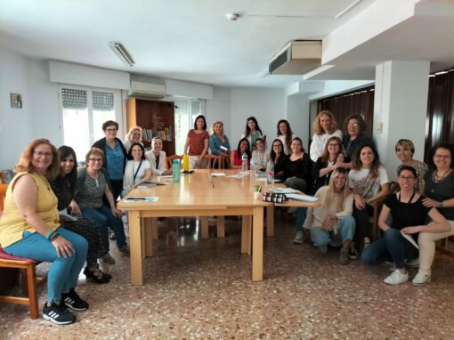 Programa Alba Alicante
