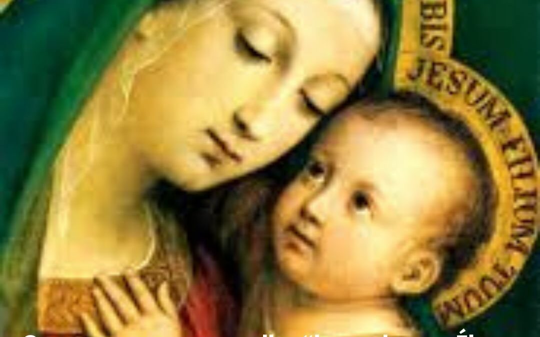 El Equipo Provincial comparte su felicitación en la festividad de Nuestra Señora del Buen Consejo