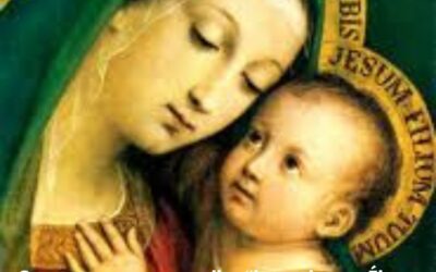 El Equipo Provincial comparte su felicitación en la festividad de Nuestra Señora del Buen Consejo